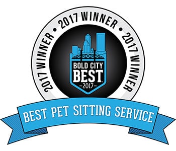 Best Pet Sitting Service 2017